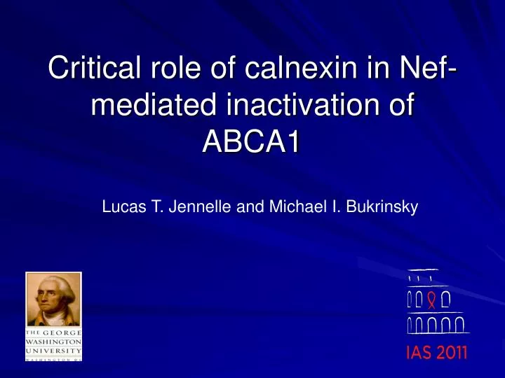 critical role of calnexin in nef mediated inactivation of abca1