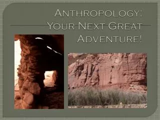 Anthropology: Your Next Great Adventure!
