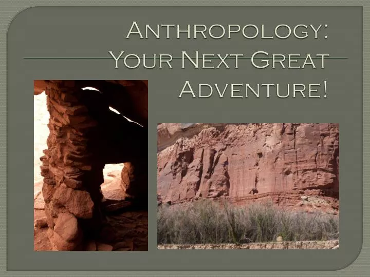 anthropology your next great adventure