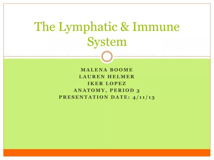 PPT - The Lymphatic & Immune System PowerPoint Presentation, Free ...