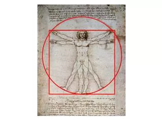 The Vitruvian Man Leonardo da Vinci
