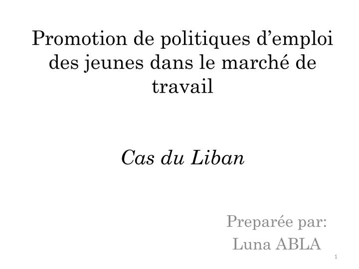 promotion de politiques d emploi des jeunes dans le march de travail cas du liban