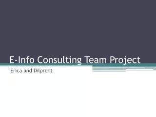E-Info Consulting Team Project