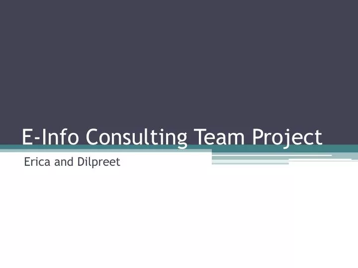 e info consulting team project