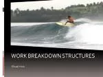 Work Breakdown StructureS