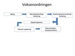 voksenordningen