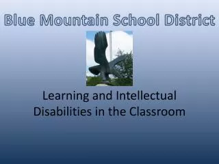 Learning and Intellectual Disabilities in the Classroom