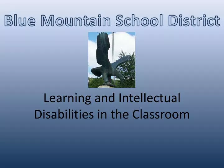 learning and intellectual disabilities in the classroom