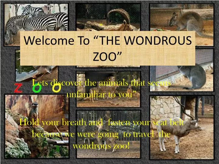 welcome to the wondrous zoo