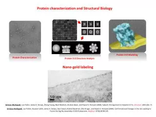 Protein characterization and Structural Biology