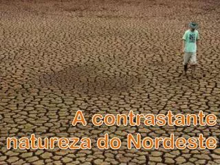 A contrastante natureza do Nordeste