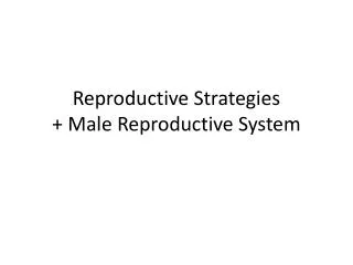 Reproductive Strategies + Male Reproductive System