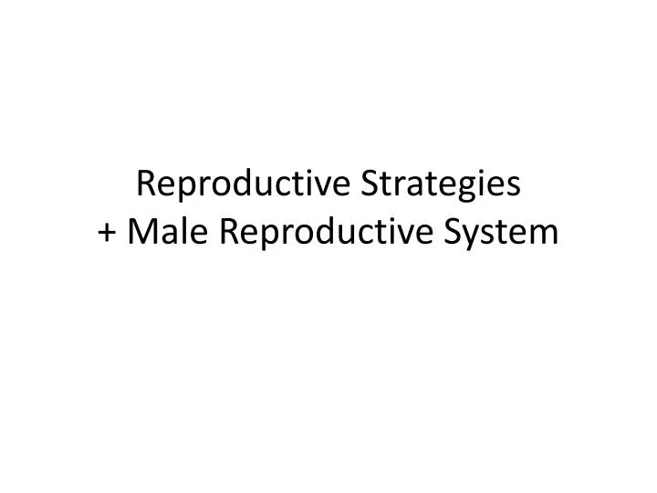 reproductive strategies male reproductive system