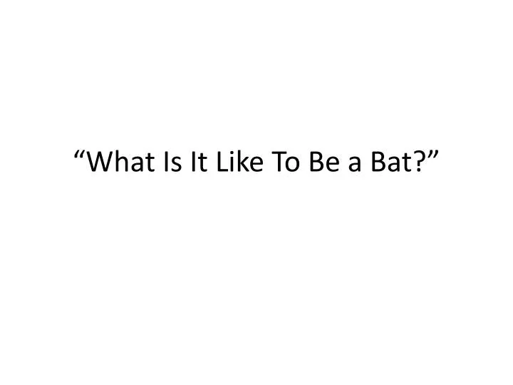 what is it like to be a bat