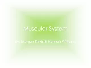 Muscular System