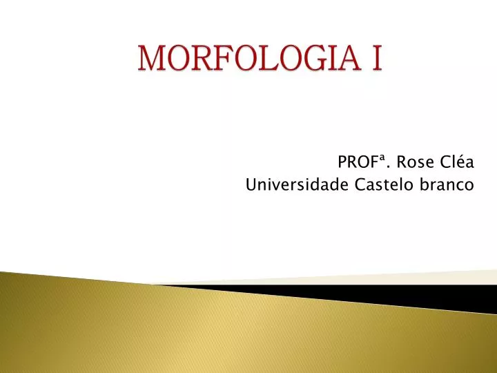 morfologia i