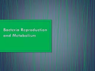 Bacteria Reproduction and Metabolism