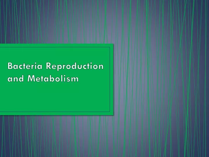 bacteria reproduction and metabolism