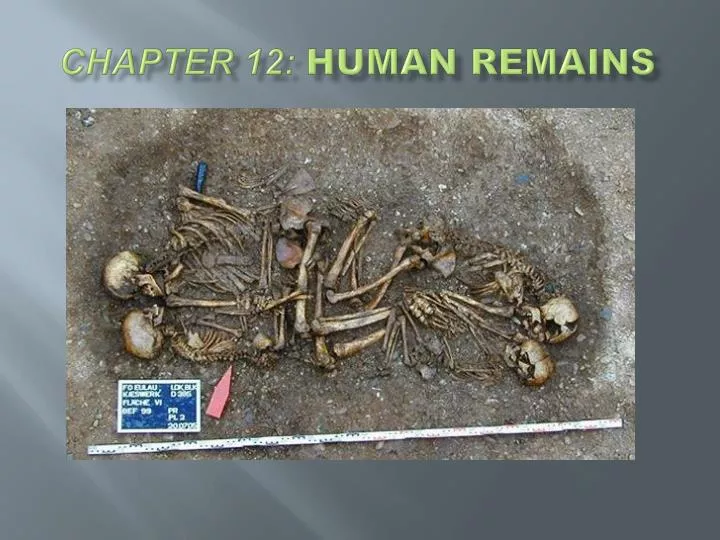chapter 12 human remains