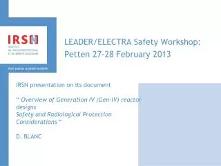 LEADER/ELECTRA Safety Workshop: Petten 27-28 February 2013
