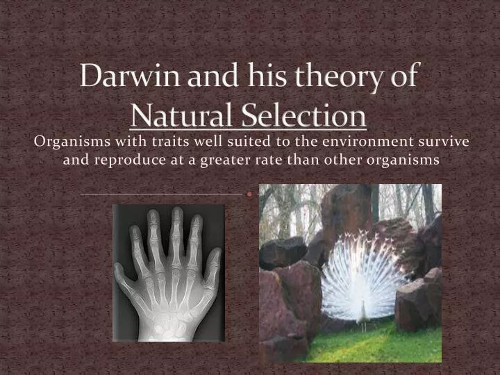 darwin and his theory of natural selection