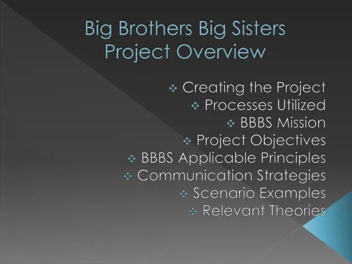 big brothers big sisters project overview