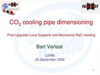 CO 2 cooling pipe dimensioning Pixel Upgrade Local Supports and Mechanics R&amp;D meeting