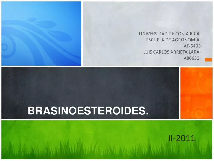 brasinoesteroides