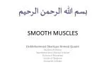 SMOOTH MUSCLES - slide 1