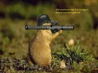 Did you know the S in George S. Patton was for squirrel?