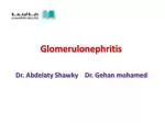 Glomerulonephritis - slide 1