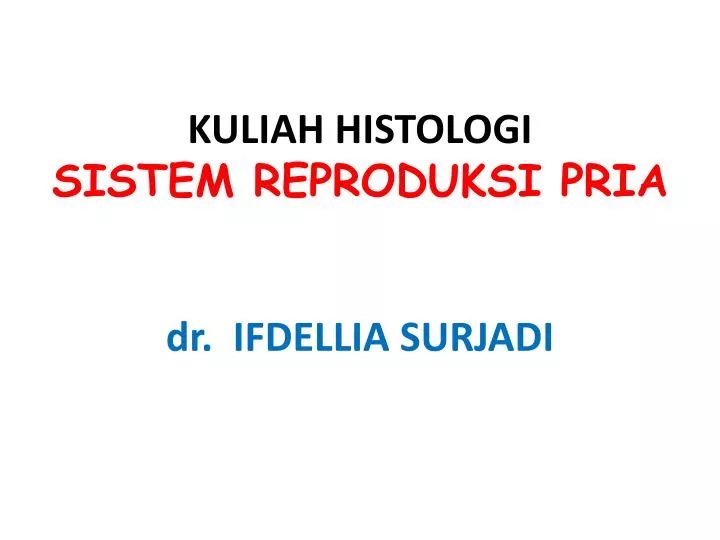kuliah histologi sistem reproduksi pria