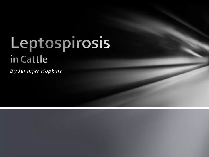 leptospirosis in cattle