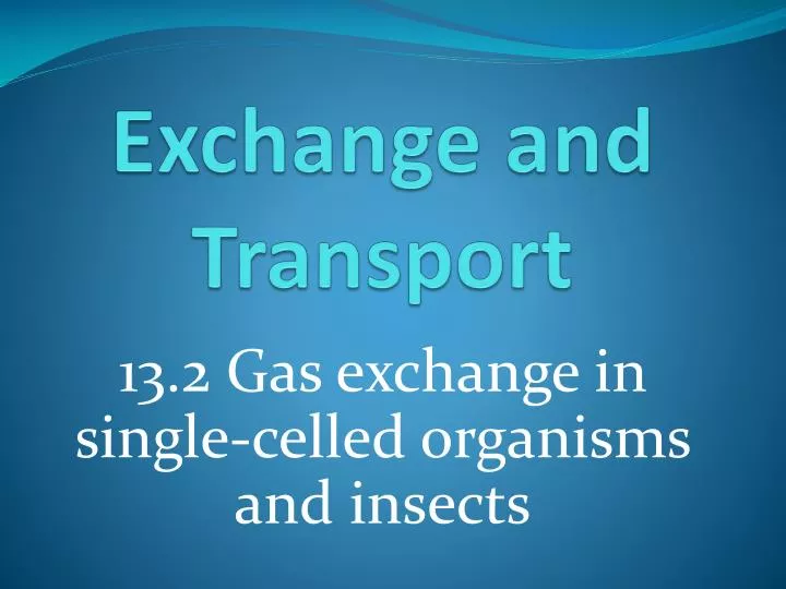 exchange and transport