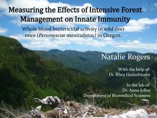Measuring the Effects of Intensive Forest Management on Innate Immunity