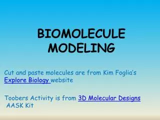 BIOMOLECULE MODELING