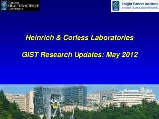 Heinrich &amp; Corless Laboratories GIST Research Updates: May 2012