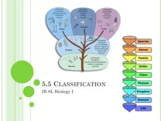 5.5 Classification