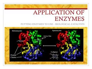 APPLICATION OF ENZYMES