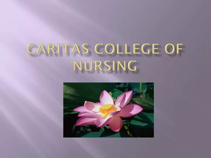 caritas college of nursing