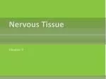Nervous Tissue - slide 1
