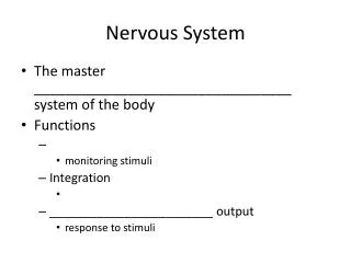 Nervous System