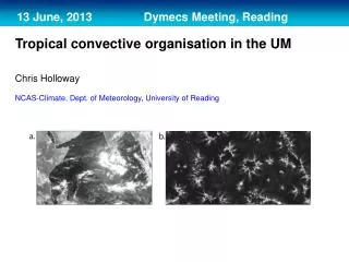 13 June, 2013 Dymecs Meeting, Reading