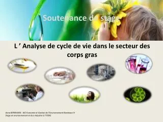 soutenance de stage