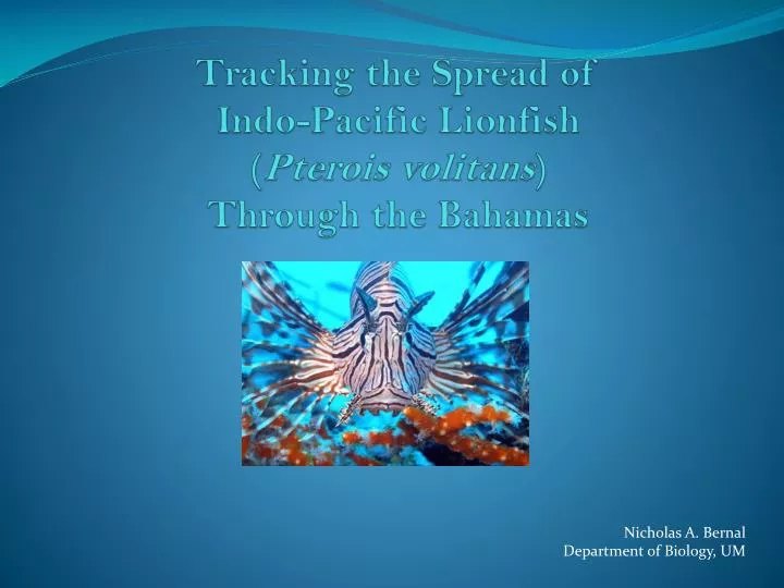 tracking the spread of indo pacific lionfish pterois volitans through the bahamas
