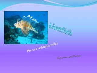 Lionfish