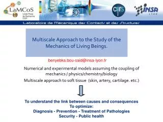 Multiscale Approach to the Study of the Mechanics of Living Beings .