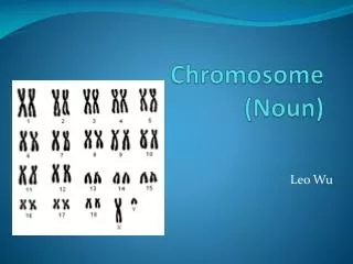 Chromosome (Noun)