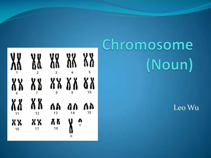 chromosome noun