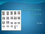 Understanding Chromosomes: Key Features and Functions - slide 1